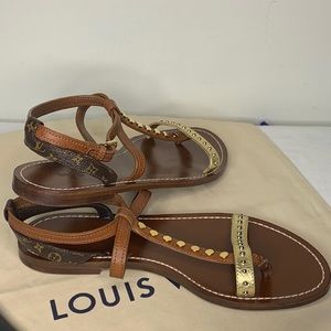 Louis Vuitton Monogram Wayside Sandals
